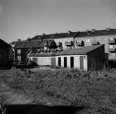 Uthus på Jakobsgatan, 1956-10-24