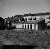 Uthus på Jakobsgatan, 1956-10-24