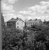 Vy mot Svampen, 1957