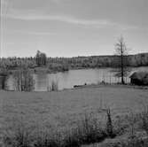 Långviken, 1957