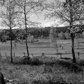 Skåle klint, 1957-05-30