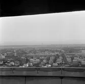 Vy över norr mot sydost från Svampen, 1957-11-15