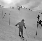 Slalombacken i Ånnaboda, 1958-02-20