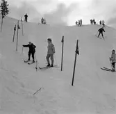 Slalombacken i Ånnaboda, 1958-02-20