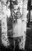 Flicka mellan två björkar i Nora, 1920 ca