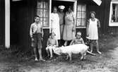 Familj med gris i Nora, 1920-tal