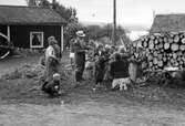 Familj klär midsommarstång i Nora, 1950-tal