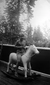 Pojke på gunghäst, 1941
