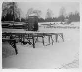 Rävgården i Karlslund i Nora, 1951