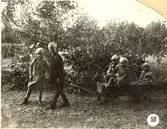 Barn med kärra på Kullen i Frövi, 1929