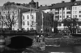 Laxfiske vid Svartån, 1989