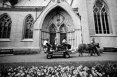 Häst och vagn vid nikolaikyrkan, 1989