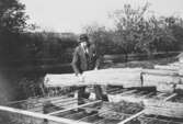 Trädgårdsmästaren vid drivbänkarna, 1920-tal