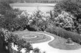 Trädgård, 1920-tal