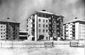 Hagabrohus, ca 1950
