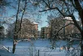 Hagabrohus, 1982-01-27