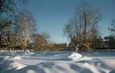Vintervy från Västå park mot öster, 1982-01-27