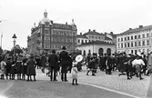 Parad på Våghustorget, ca 1905