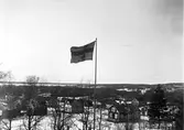 Flagga, efter 1905