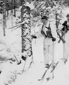 På skidor genom skogen, 1962