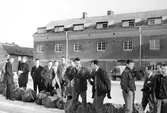 Muck från I3 i Örebro, 1963-03-16