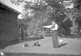Man matar katter och höns i Stora Mellösa, 1940-tal