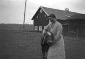 Kvinna med kalv i Råsta gård, Stora Mellösa, 1940-tal