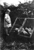 Barn på kolonivistelse, 1920-tal