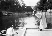 Kvinna och svan, 1910-tal