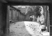 Träkåkar vid Gamla gatan 17, 1950-tal
