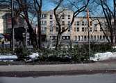 Stadsparken längs Slottsgatan i Västerås