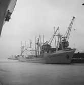 Fartyget Kamchatskij Komsomolets vid kaj

