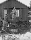 Kustartillerisergeant Gustav Hjalmar Sahlström