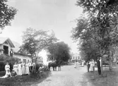 Paus i skördearbete på Vittvångs gård, ca 1900