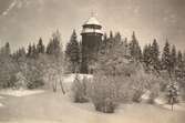 Torn vid Garphytte sanatorium, 1919