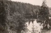 Pojke vid sjö, 1919
