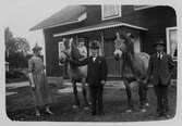 Uppvisning av hästar, ca 1900