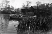 Fiskare i eka bakom vass i Kvarndammen i Klockhammar, 1910-tal