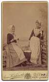 Två kvinnor, 1890 efter