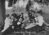 Picknick på Annandag pingst, 1896