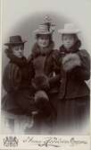 Damer i hattar, 1910-tal
