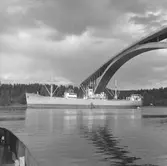 Fartyget Camelia vid Sandöbron
