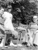 Fru Hilma Skoglund, Skedom nr 2, Häggdånger född 1898, och hennes dotter fru Anna Fransson, Härnösand, drar och häcklar lin, som legat i 25 år för spinning. Längst till vänster på bilden är Anna (född Skoglund) Fransson. Bredvid Anna står dottern Britt-Marie Ragnvaldsson (Född Fransson) och längst till höger på bilden är modern till Anna och mormor till Britt-Marie, Hilma Skoglund från Häggdånger.