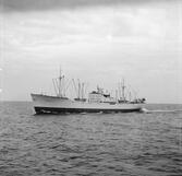 Fartyget Rydboholm på Älven

