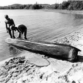 Båtfynd sommaren 1976