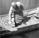 Fru Hägglund hjälper till. (Syster till Lång-Fanny Boström)