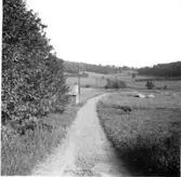 Vy över Östra Kyrkvägen cirka 1965. Gustav Johanssons smedja ses på vänster sida. På höger sida ses påbörjat dräneringsarbete för Vommedals bebyggelse.