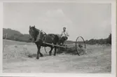 En man kör slåttermaskin med hjälp av en arbetshäst, 