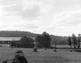 Hägerstad skattegård