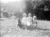 Grupporträtt, tre barn och hund i trädgården.